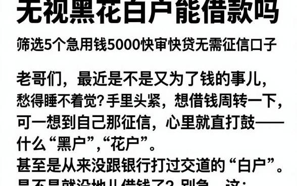 无视黑花白户能借款吗,筛选5个急用钱5000快审快贷无需征信口子
