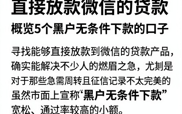 直接放款微信的贷款,概览5个黑户无条件下款的口子