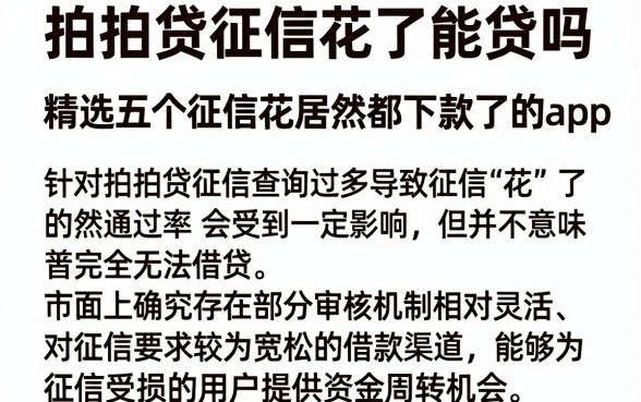 拍拍贷征信花了能贷吗,精选五个征信花居然都下款了的app