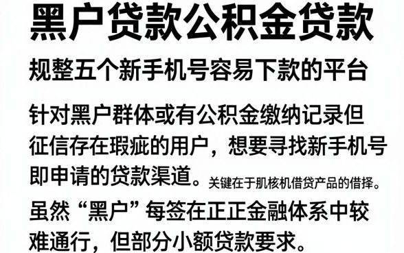 黑户贷款公积金贷款，规整五个新手机号容易下款的平台