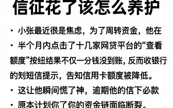 信征花了该怎么养护,枚举五个逾期必下款的软件