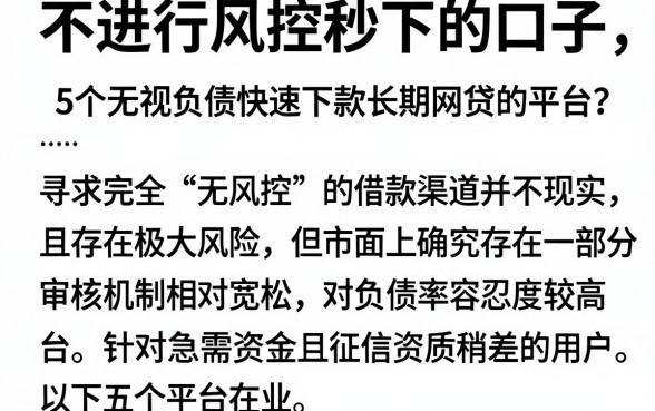 不进行风控秒下的口子，概览5个无视负债快速下款长期网贷的平台