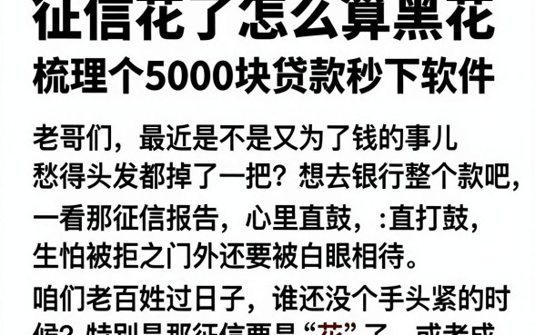 征信花了怎么算黑花，梳理五个5000块贷款秒下软件