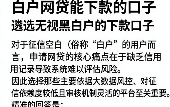 白户网贷能下款的口子,遴选五个无视黑白户的下款口子