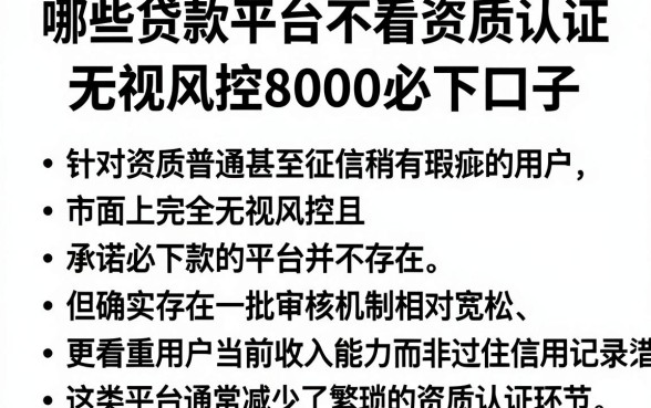 哪些贷款平台不看资质认证,胪列五个无视风控8000必下口子
