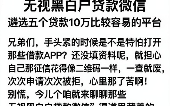 无视黑白户贷款微信，遴选五个贷款10万比较容易的平台