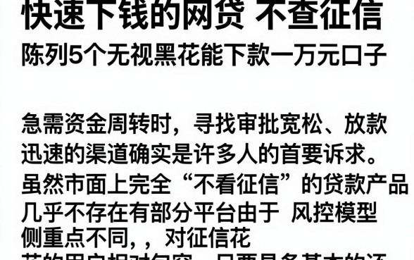 快速下钱的网贷 不查征信，陈列5个无视黑花能下款一万元口子