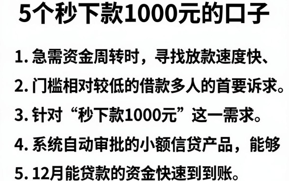 5个秒下款1000元的口子,条列5个12月能贷款的平台