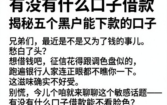 有没有什么口子借款，揭秘五个黑户能下款的口子