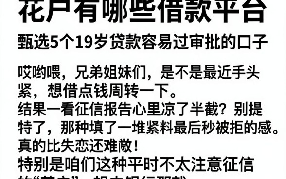 花户有哪些借款平台，甄选5个19岁贷款容易过审批的口子