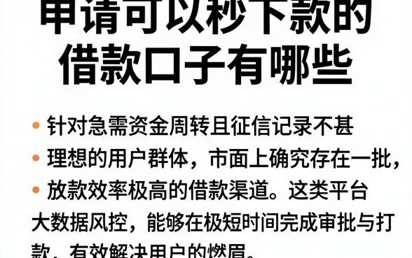 申请可以秒下款的借款口子有哪些,规整五个无视黑白的网贷app