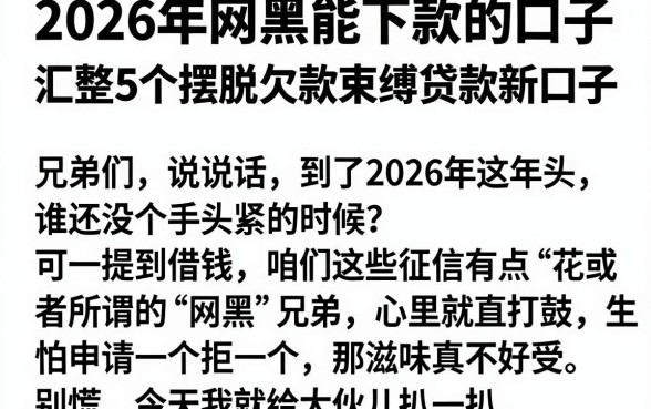 2026年网黑能下款的口子,汇整5个摆脱欠款束缚贷款新口子