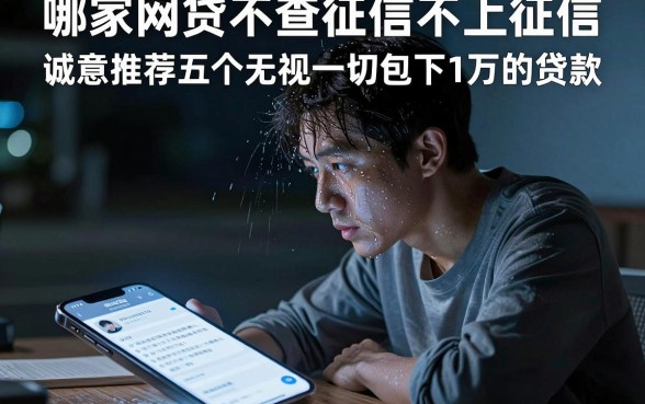 哪家网贷不查征信不上征信,诚意推荐五个无视一切包下1万的贷款