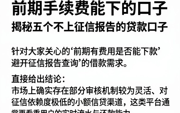 前期手续费能下的口子，揭秘五个不上征信报告的贷款口子