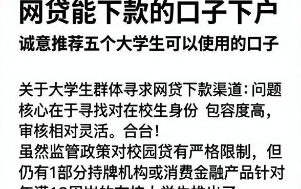 网贷能下款的口子下户，诚意推荐五个大学生可以使用的口子