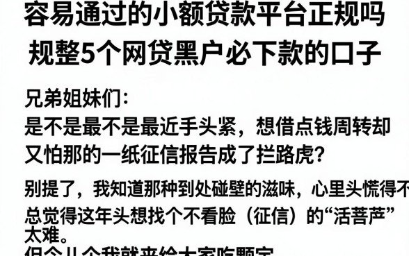 容易通过的小额贷款平台正规吗,规整5个网贷黑户必下款的口子