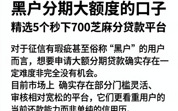 黑户分期大额度的口子,精选5个秒下700芝麻分贷款平台