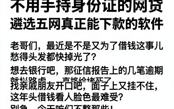 不用手持身份证的网贷,遴选五个网黑真正能下款的软件