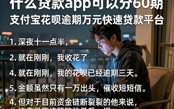 什么贷款app可以分60期,细致阐述五个支付宝花呗逾期万元快速贷款平台