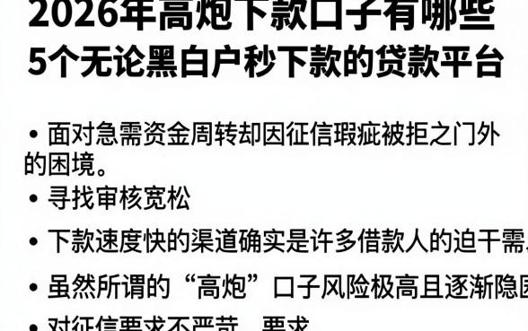 2026年高炮下款口子有哪些,梳理5个无论黑白户秒下款的贷款平台