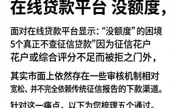 在线贷款平台 没额度,细致阐述5个真正不查征信的贷款软件