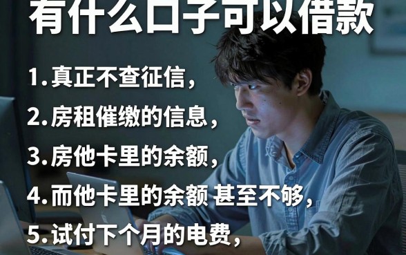 有什么口子可以借款，条列5个真正不查征信的贷款app
