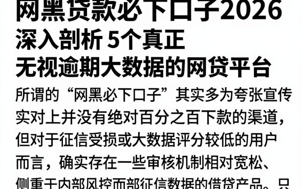 网黑贷款必下口子2026,深入剖析5个真正无视逾期大数据的网贷平台
