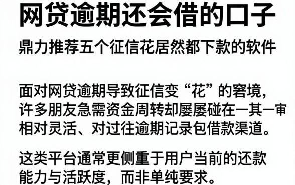 网贷逾期还会借的口子，鼎力推荐五个征信花居然都下款的软件