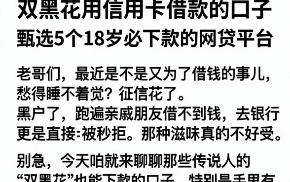 双黑花用信用卡借款的口子，甄选5个18岁必下款的网贷平台
