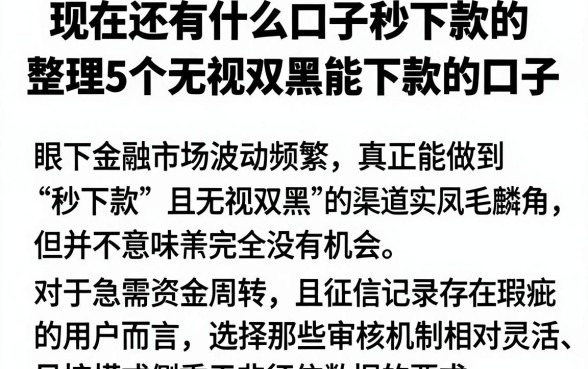 现在还有什么口子秒下款的，整理5个无视双黑能下款的口子