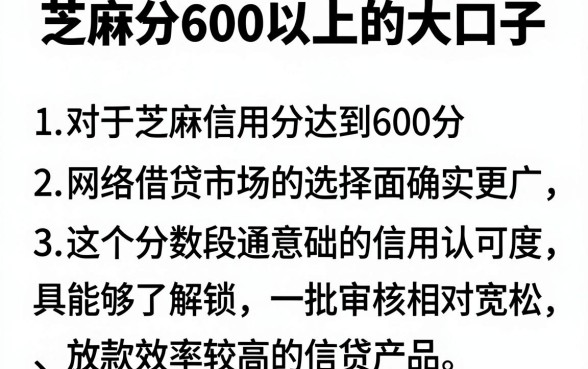 芝麻分600以上的大口子,概括五个手机和身份证快速借钱软件