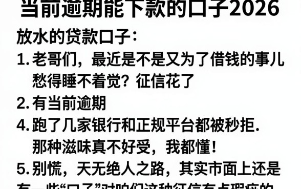 当前逾期能下款的口子2026，条列5个放水的贷款口子