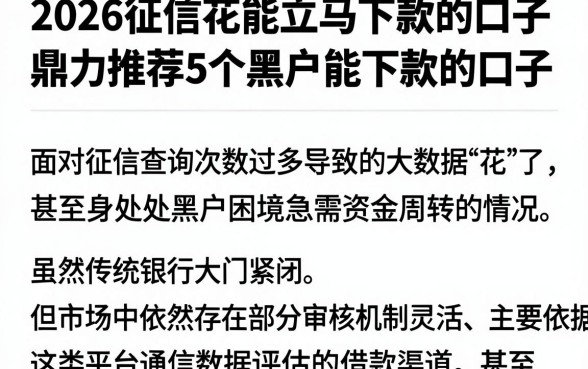 2026征信花能立马下款的口子,鼎力推荐5个黑户能下款的口子