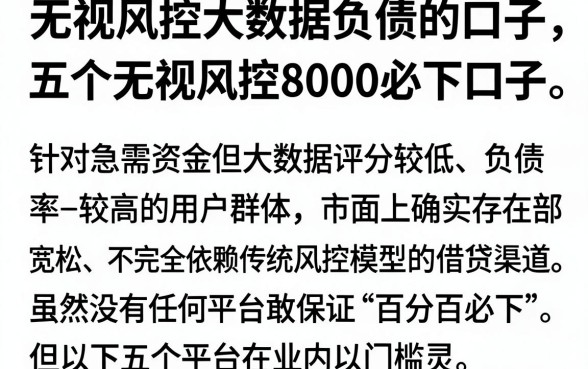 无视风控大数据负债的口子,概览五个无视风控8000必下口子