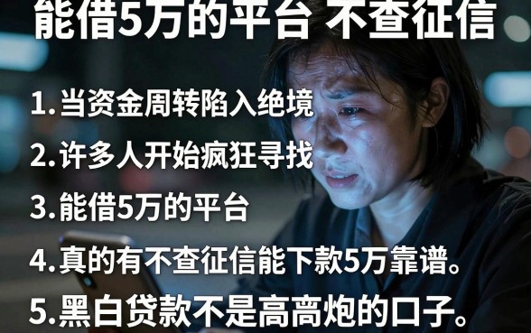 能借5万的平台 不查征信，条列五个黑白贷款不是高炮的口子