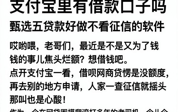 支付宝里有借款口子吗,甄选五个贷款好做不看征信的软件