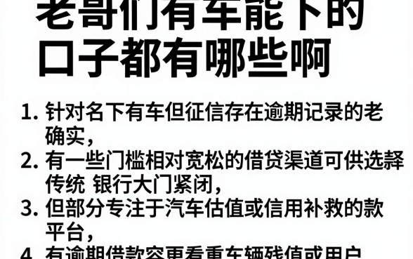 老哥们有车能下的口子都有哪些啊，规整5个有逾期借款容易通过的平台