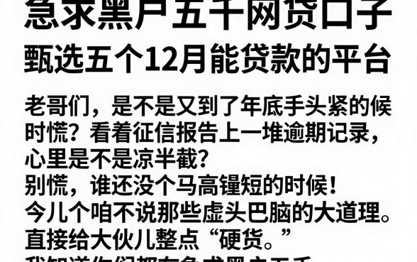 急求黑户五千网贷口子,甄选五个12月能贷款的平台