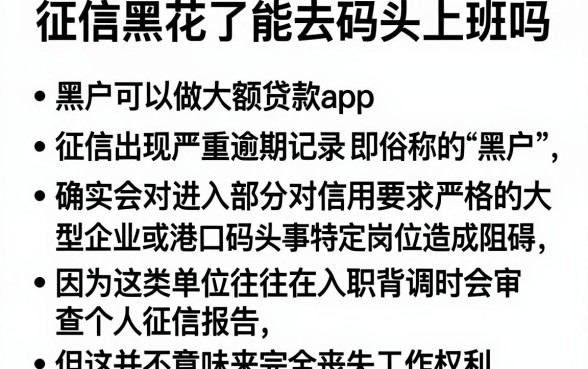 征信黑花了能去码头上班吗，条列五个黑户可以做大额贷款app