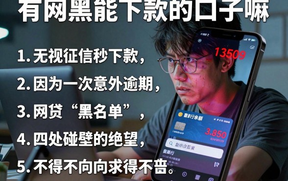有网黑能下款的口子嘛,条列五个无视征信秒下款的口子