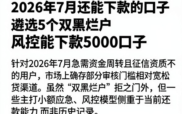 2026年7月还能下款的口子,遴选5个双黑烂户风控能下款5000口子