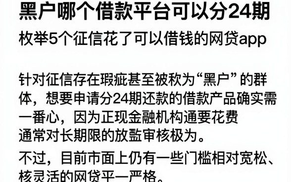 黑户哪个借款平台可以分24期,枚举5个征信花了可以借钱的网贷app
