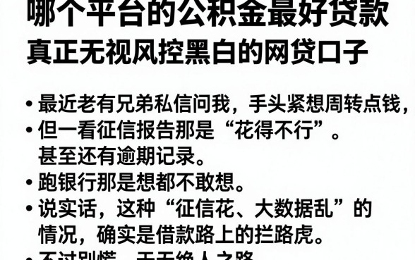 哪个平台的公积金最好贷款,理出五个真正无视风控黑白的网贷口子