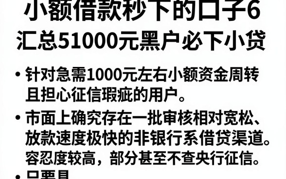 小额借款秒下的口子6,汇总5个1000元黑户必下小贷