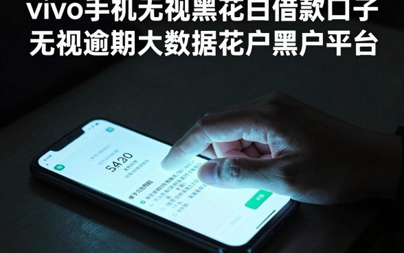 vivo手机无视黑花白借款口子，整合五个无视逾期大数据花户黑户平台