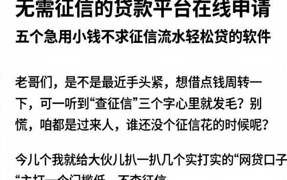 无需征信的贷款平台在线申请，深入剖析五个急用小钱不求征信流水轻松贷的软件