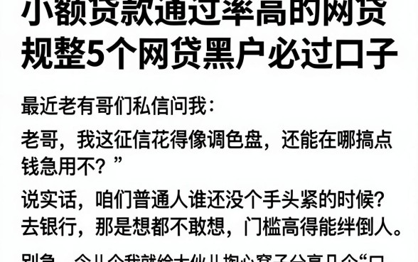 小额贷款通过率高的网贷，规整5个网贷黑户必过口子