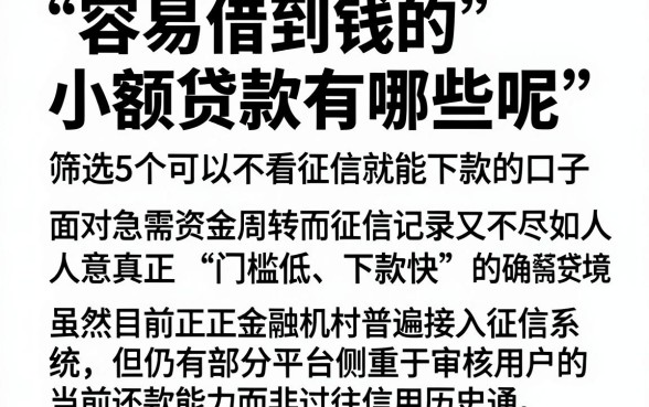 容易借到钱的小额贷款有哪些呢,筛选5个可以不看征信就能下款的口子