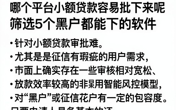 哪个平台小额贷款容易批下来呢,筛选5个黑户都能下的软件