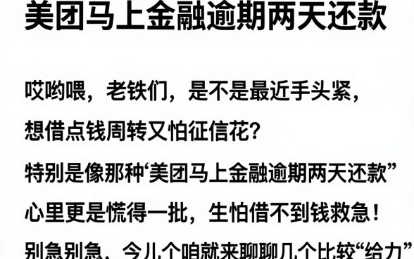 美团马上金融逾期两天还款，详尽说明五个黑白贷款必过的软件